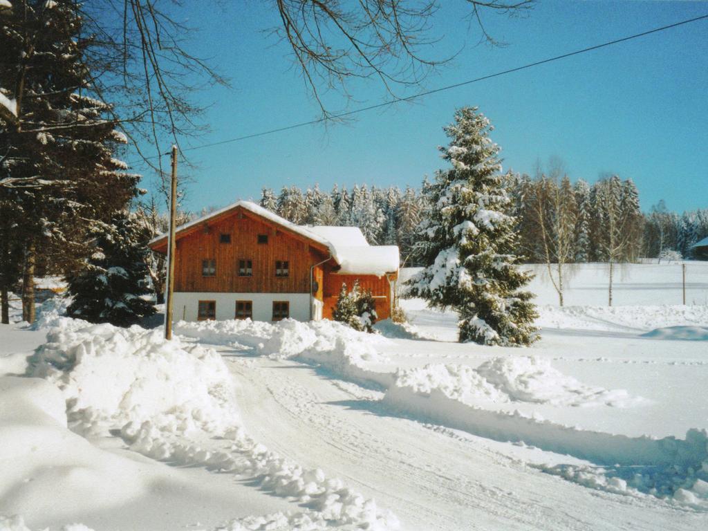 Lovely Holiday Home In Viechtach Near The Forest Екстериор снимка