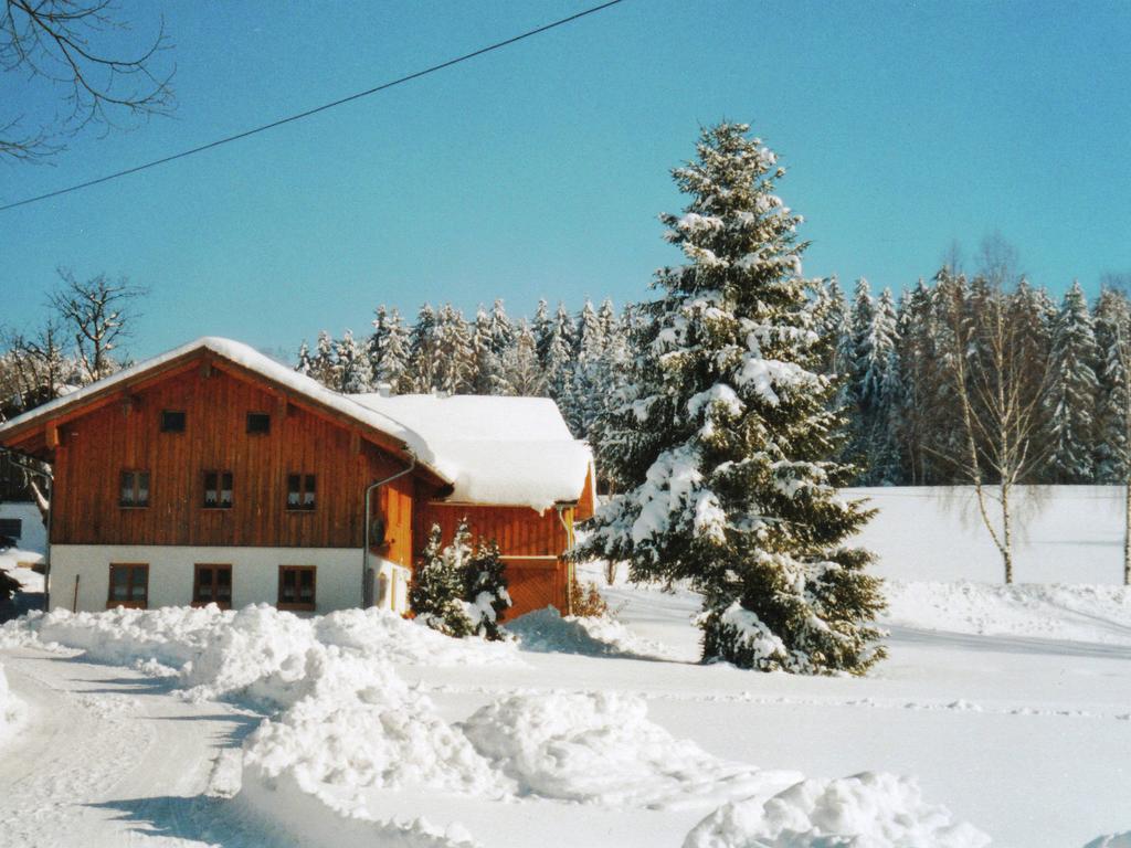 Lovely Holiday Home In Viechtach Near The Forest Екстериор снимка