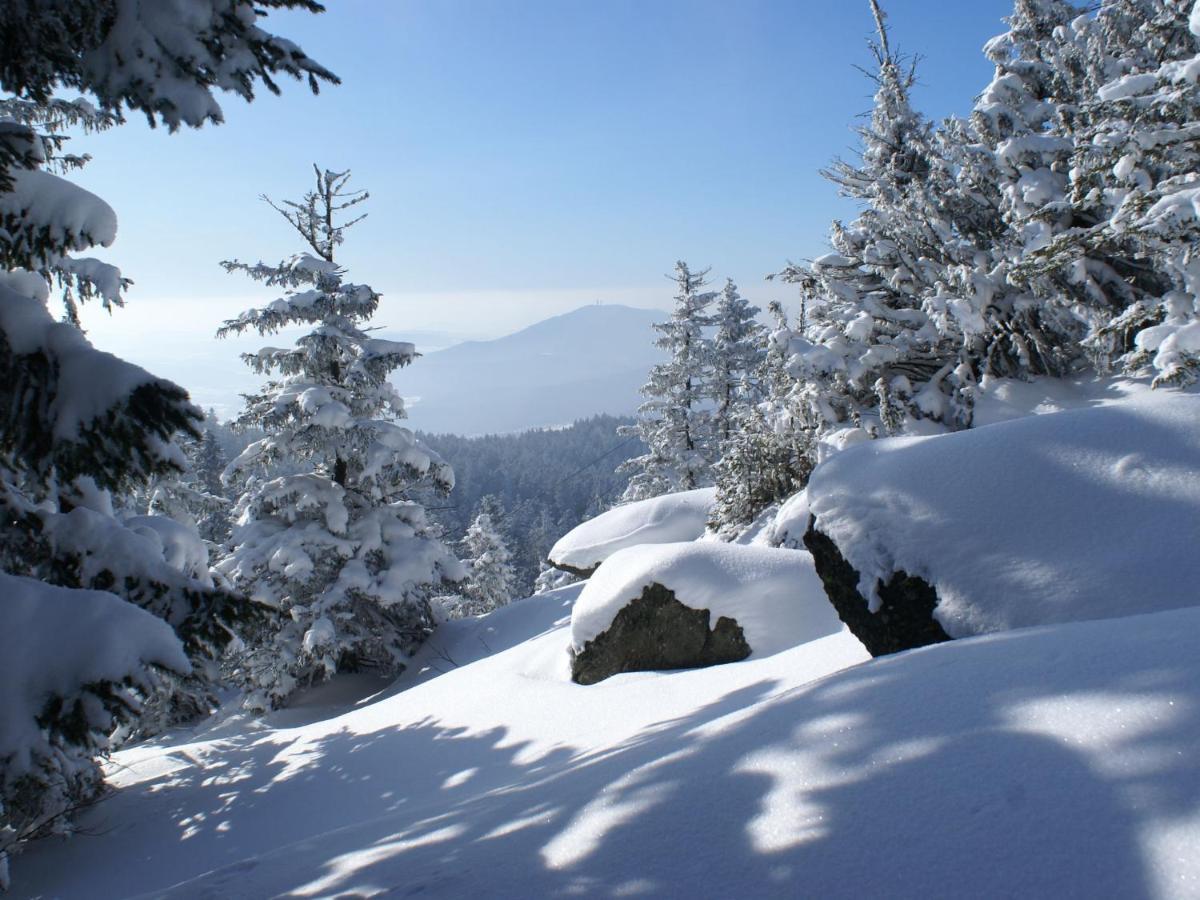 Lovely Holiday Home In Viechtach Near The Forest Екстериор снимка