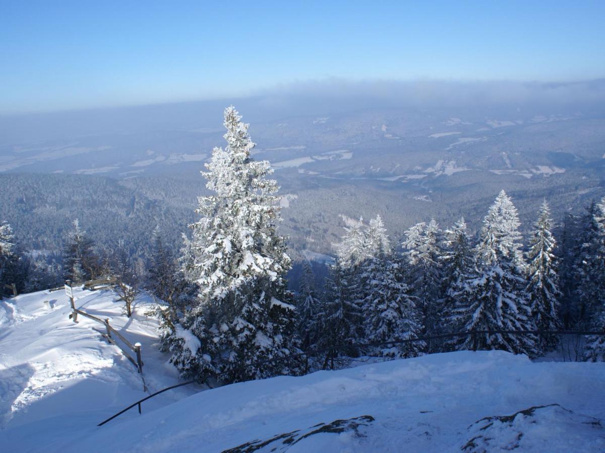 Lovely Holiday Home In Viechtach Near The Forest Екстериор снимка