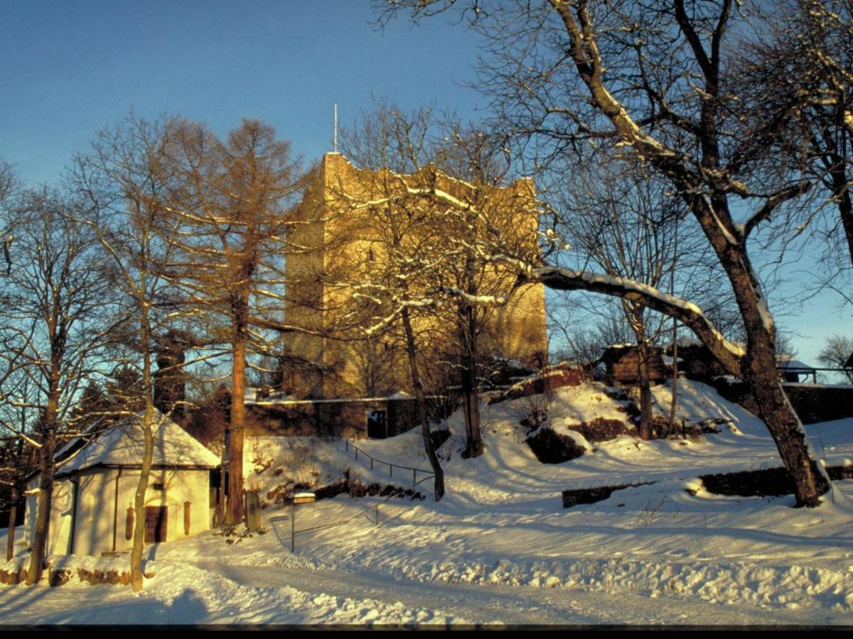 Lovely Holiday Home In Viechtach Near The Forest Екстериор снимка